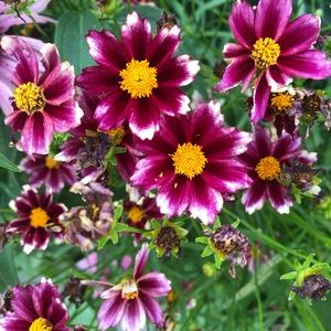 Meet your Posher, Joanna